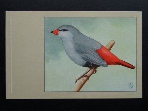 Bird Theme LAVENDER FINCH c1950s Postcard by P. Sluis Series 3 No.26