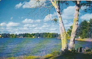 Canada Greetings from Curry's Cabins Kinnisis and Haliburton Lakes
