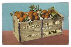 1924 USA Southern California Orange Basket Postcard - Theo Sohmer (MM157)