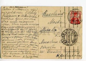 3037718 COMIC Girls Alpinists & COW Vintage POST RPPC