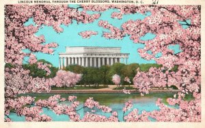 Vintage Postcard 1920's View of Lincoln Memorial Cherry Blossoms Washington D.C.