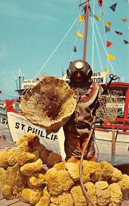 Sponge Diver with His Fine Catch  Tarpon Springs FL