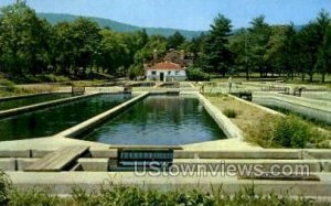 The Cement Pond  - Hackettstown, New Jersey NJ  