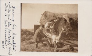 Man Milking Cow Ewing Alberta c1909 Stettler AB Cancel RPPC Postcard H44