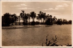 Djibouti Ba Rivier Ambouli en Erue Vintage Postcard C043