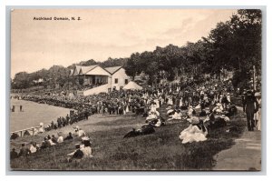 Large Crowds at Auckland Domain New Zealand UNP DB Postcard Z9