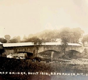 C1920s RPPC Covered Bridge Esperance New York Small Town Farm Cows PCBG21A