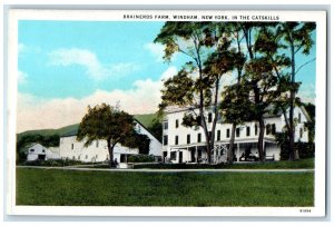 c1930's Brainerds Farm Windham New York In The Catskills Vintage Postcard 