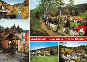 BG12523 wildemann das klein tirol im oberharz    germany