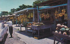 Puerto Rico Tropical Fruit Market At Entrance To El Yungue Rain Forest