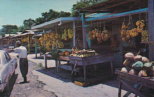 Puerto Rico Tropical Fruit Market At Entrance To El Yungue Rain Forest