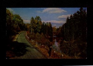 NY Saranac River Highway Hwy Adirondack Mountains New York Postcard