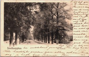 England Southampton The Avenue Vintage Postcard C122