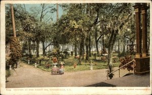 Early Detroit Publishing Summerville SC Pine Forest Inn Grounds 8299