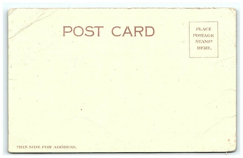 1901-7 Pride Soap Swift's Postcard Advertising Powder Washing Anthropomorphic  
