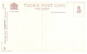 Dog ,  Horses and Dogs in field