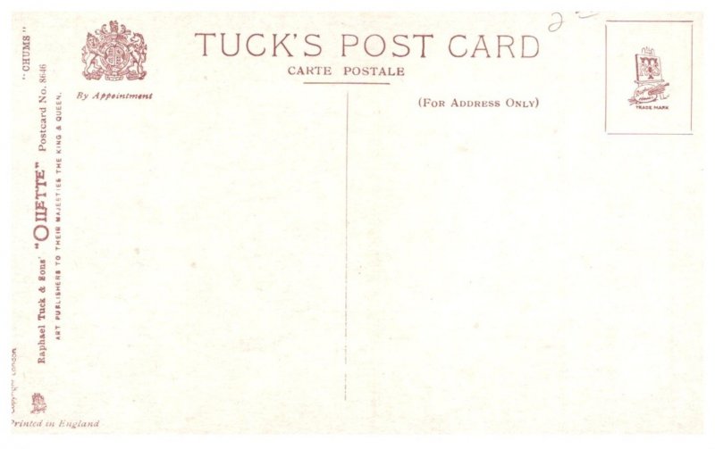 Dog ,  Horses and Dogs in field