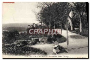 Old Postcard Chateau Thierry Terrasse du Vieux Chateau