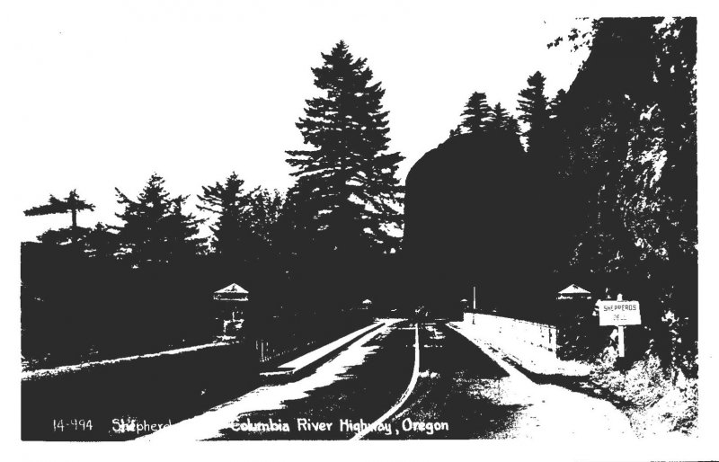 Oregon Columbia River Highway Shepherds Dell Real Photo