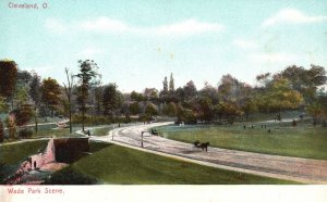 Vintage Postcard 1910's Wade Park Scene Trees Green Field Cleveland Ohio OH