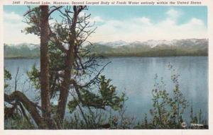 Montan Flathead Lake Curteich