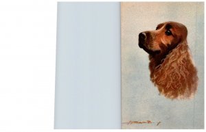 Dog ,  Spaniel ,   artist signed