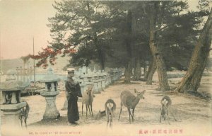 Japan C-1910 Hand Colored Miyazima Deer at Beach Postcard 21-14364