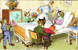 MAINZER Dressed Cats #4931 MOMMY HOSPITAL VISIT Anthropomorphic BELGIUM Postcard