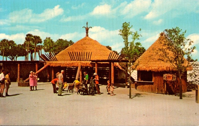 Florida Tampa Busch Gardens Contact Area In The Boma