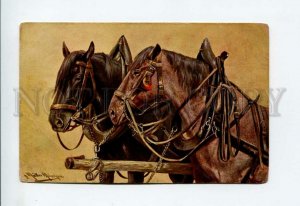 3156935 Team HORSES by MULLER vintage colorful PC