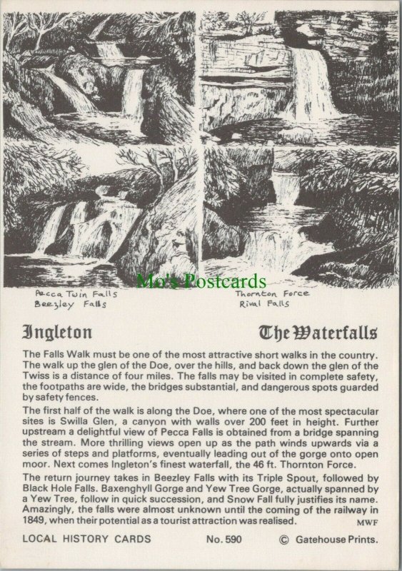 Yorkshire Postcard - Pencil Sketch of The Waterfalls, Ingleton   RR10384