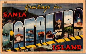 Greetings From Santa Catalina Island LARGE Letter Postcard Standard View Card 