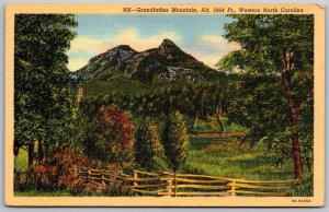 Vtg Linville North Carolina NC Grandfather Mountain 1930s View Old Card Postcard