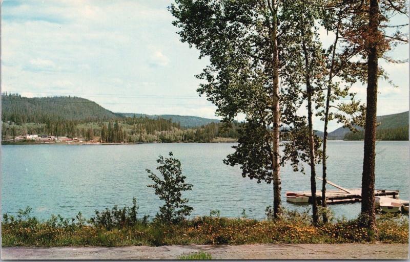 McLeese Lake BC north of Williams Lake Unused Vintage Postcard D65