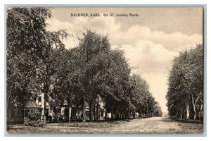 1909 Baldwin Kans Kansas 8th Street Looking North Vintage Standard View Postcard 