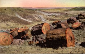 Arizona Petrified Wood Handcolored Albertype