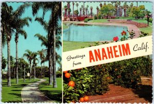 c1970s Anaheim, CA Greetings from Orange County Unposted 4x6 Large Postcard M13