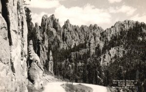 Postcard Real Photo Cathedral Spires in Black Hills South Dakota Rise RPPC