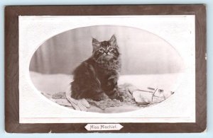 MISS MISCHIEF Embossed Cat KITTEN 1911 Postcard