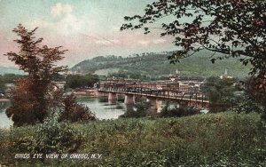 Owego County NY-New York, Bird's Eye View Port City Vintage Postcard c1910