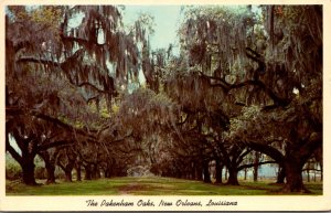 Louisiana New Orleans The Packenham Oaks 1965