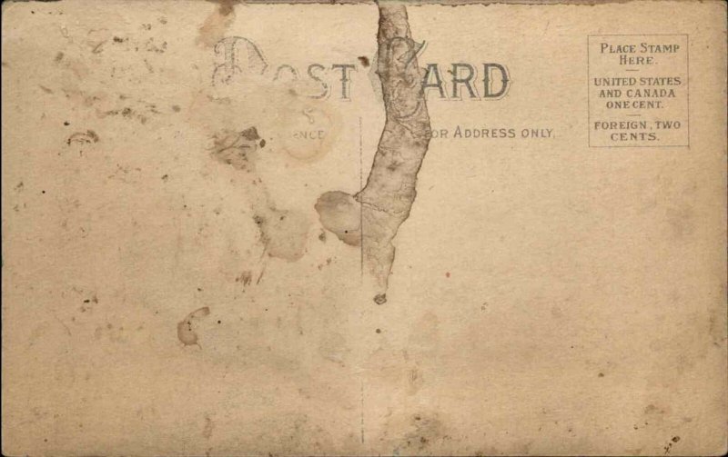 Fantasy Humor Bed Bugs Insects Playing Cards Gambling c1910 Vintage Postcard 