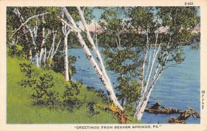 Beaver Springs Pennsylvania Waterfront Greeting Antique Postcard K83567