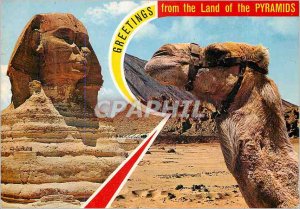 Modern Postcard Greetings from the Land of Pyramids Souvenirs from Egypt