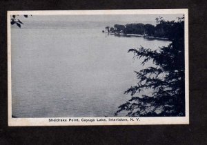 NY Sheldrake Point  Cayuga Lake Interlaken New York Postcard