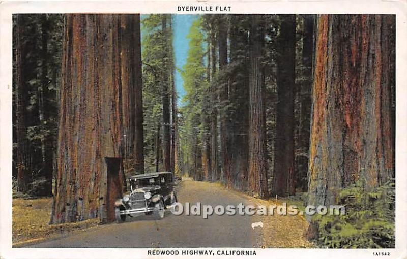 Dyerville Flat Redwood Highway, California, USA Logging, Timber Unused 