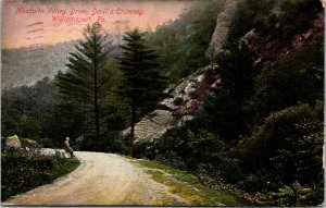 Vtg 1910s Mosquito Valley Drive Devils Chimney Williamsport PA Postcard
