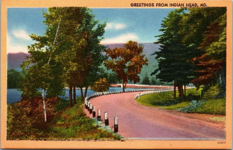 Vtg Scenic Greetings from Indian Head Maryland MD Road Highway 1940s Postcard