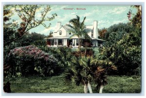 c1910 View of Trees Flowers in Norwood Bermuda Antique Unposted Postcard
