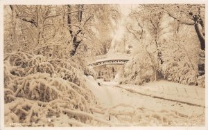 Lot328 ostende  the park  in winter belgium real photo